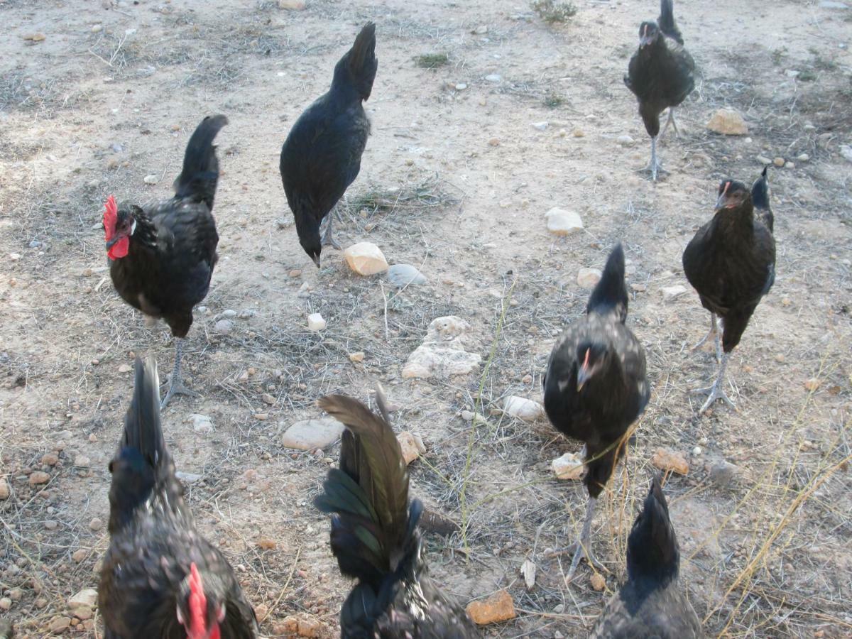 Tobares Gargoles de Arriba